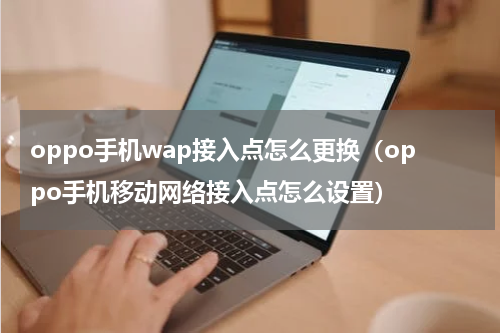 oppo手机wap接入点怎么更换（oppo手机移动网络接入点怎么设置）