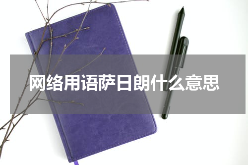 网络用语萨日朗什么意思