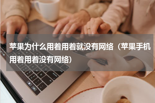 苹果为什么用着用着就没有网络（苹果手机用着用着没有网络）