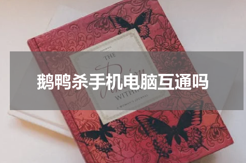 鹅鸭杀手机电脑互通吗