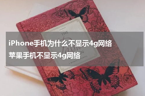iPhone手机为什么不显示4g网络 苹果手机不显示4g网络
