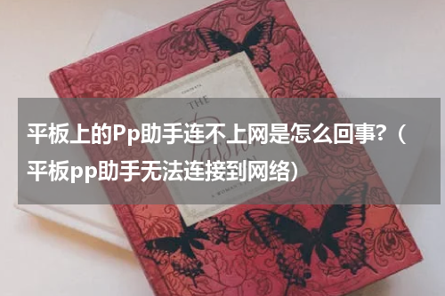 平板上的Pp助手连不上网是怎么回事?（平板pp助手无法连接到网络）