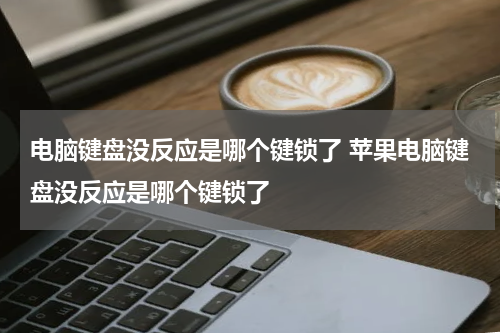 电脑键盘没反应是哪个键锁了 苹果电脑键盘没反应是哪个键锁了