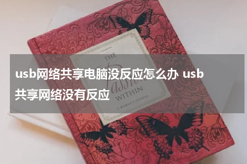 usb网络共享电脑没反应怎么办 usb共享网络没有反应
