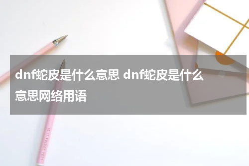dnf蛇皮是什么意思 dnf蛇皮是什么意思网络用语
