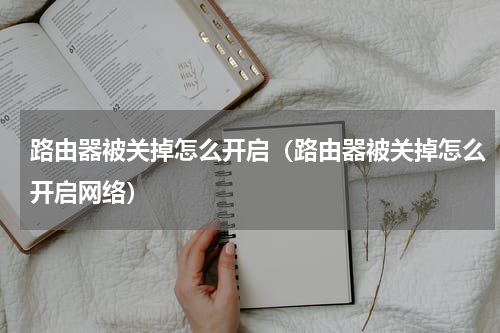 路由器被关掉怎么开启（路由器被关掉怎么开启网络）