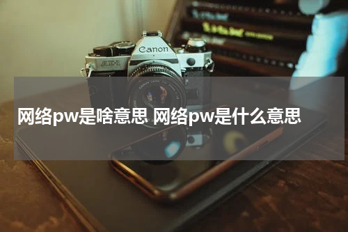 网络pw是啥意思 网络pw是什么意思