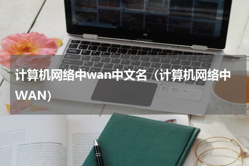 计算机网络中wan中文名（计算机网络中WAN）
