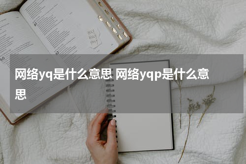 网络yq是什么意思 网络yqp是什么意思