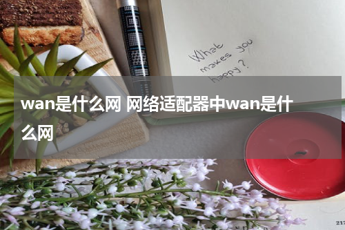 wan是什么网 网络适配器中wan是什么网