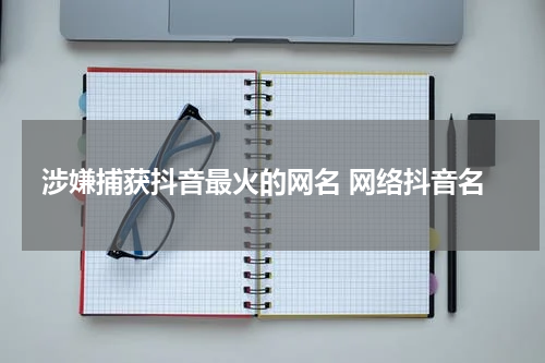 涉嫌捕获抖音最火的网名 网络抖音名