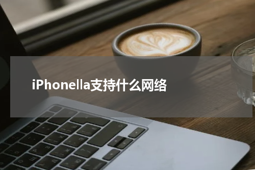 iPhonella支持什么网络