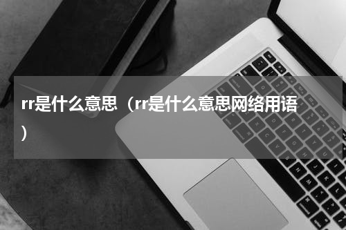 rr是什么意思（rr是什么意思网络用语）