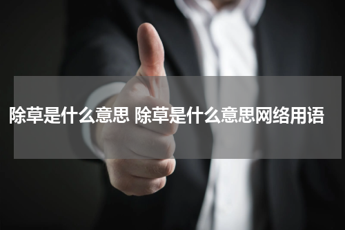 除草是什么意思 除草是什么意思网络用语