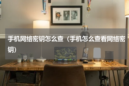 手机网络密钥怎么查（手机怎么查看网络密钥）