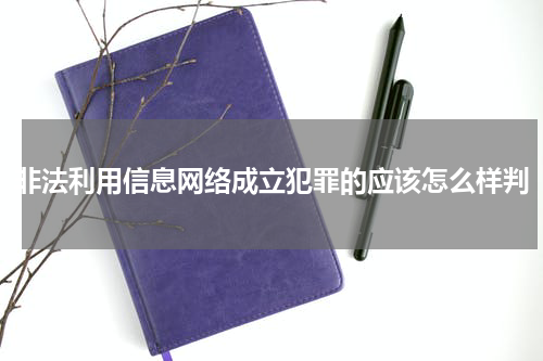 非法利用信息网络成立犯罪的应该怎么样判