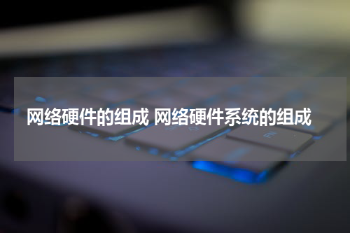 网络硬件的组成 网络硬件系统的组成