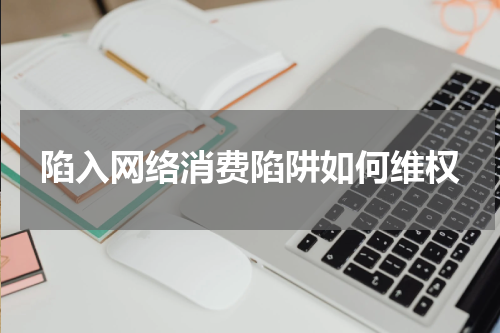 陷入网络消费陷阱如何维权