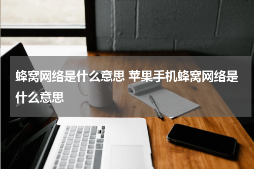 蜂窝网络是什么意思 苹果手机蜂窝网络是什么意思