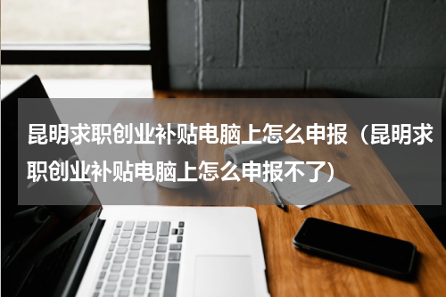 昆明求职创业补贴电脑上怎么申报（昆明求职创业补贴电脑上怎么申报不了）