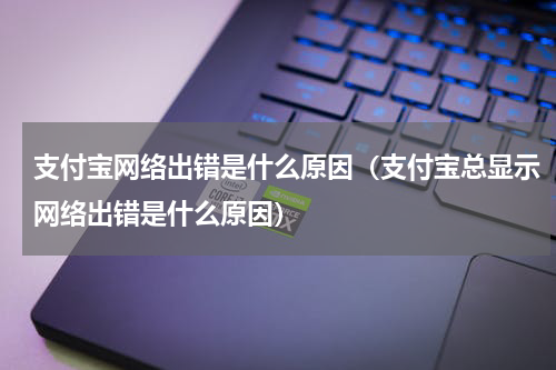 支付宝网络出错是什么原因（支付宝总显示网络出错是什么原因）