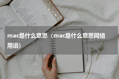 mac是什么意思（mac是什么意思网络用语）