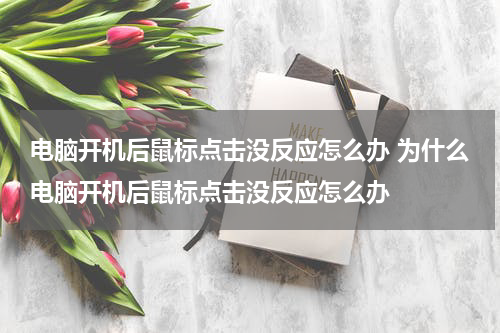 电脑开机后鼠标点击没反应怎么办 为什么电脑开机后鼠标点击没反应怎么办