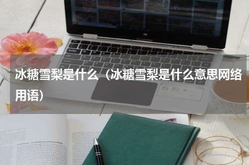 冰糖雪梨是什么（冰糖雪梨是什么意思网络用语）