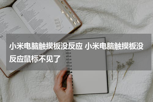 小米电脑触摸板没反应 小米电脑触摸板没反应鼠标不见了