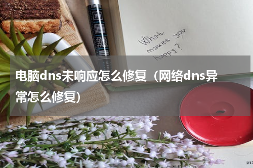 电脑dns未响应怎么修复（网络dns异常怎么修复）