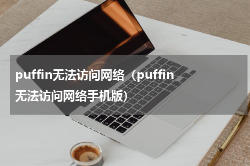 puffin无法访问网络（puffin无法访问网络手机版）