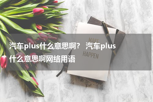 汽车plus什么意思啊？ 汽车plus什么意思啊网络用语
