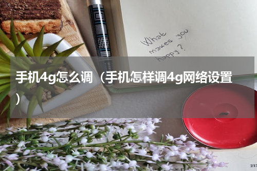手机4g怎么调（手机怎样调4g网络设置）