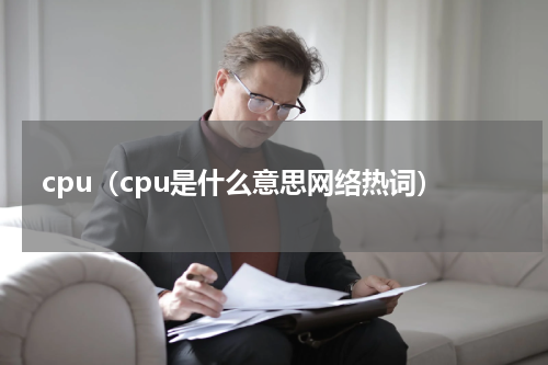 cpu（cpu是什么意思网络热词）
