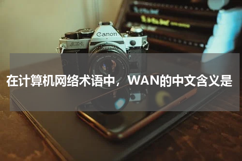 在计算机网络术语中，WAN的中文含义是