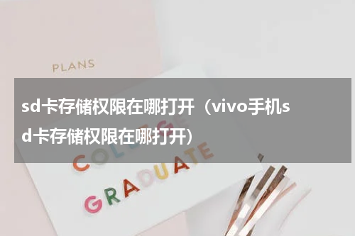 sd卡存储权限在哪打开（vivo手机sd卡存储权限在哪打开）