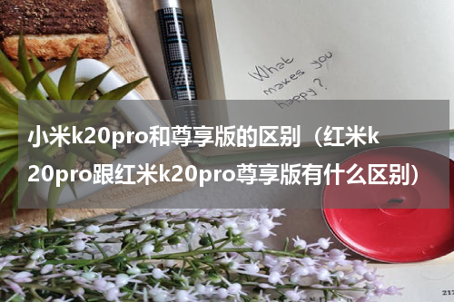 小米k20pro和尊享版的区别（红米k20pro跟红米k20pro尊享版有什么区别）