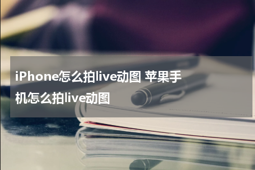 iPhone怎么拍live动图 苹果手机怎么拍live动图