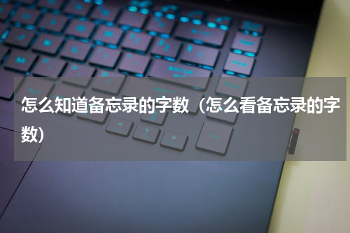 怎么知道备忘录的字数（怎么看备忘录的字数）