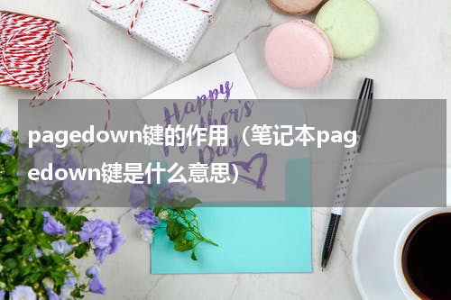 pagedown键的作用（笔记本pagedown键是什么意思）