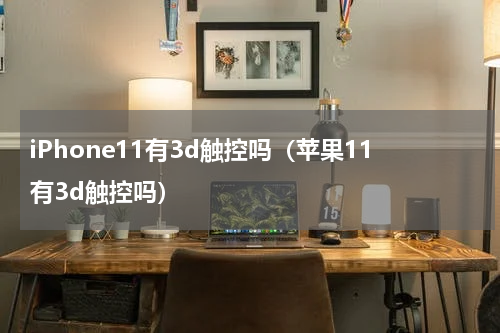 iPhone11有3d触控吗（苹果11有3d触控吗）