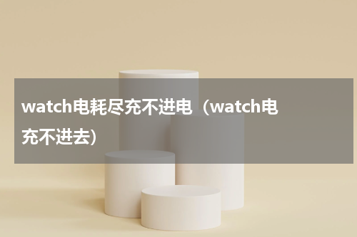 watch电耗尽充不进电（watch电充不进去）