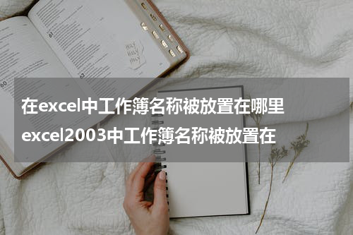 在excel中工作簿名称被放置在哪里 excel2003中工作簿名称被放置在