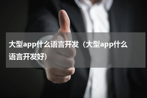 大型app什么语言开发（大型app什么语言开发好）