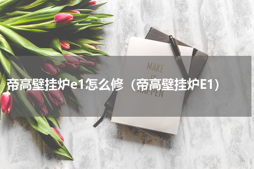 帝高壁挂炉e1怎么修（帝高壁挂炉E1）