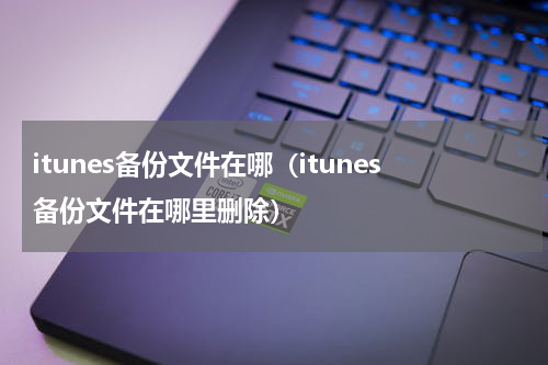 itunes备份文件在哪（itunes备份文件在哪里删除）