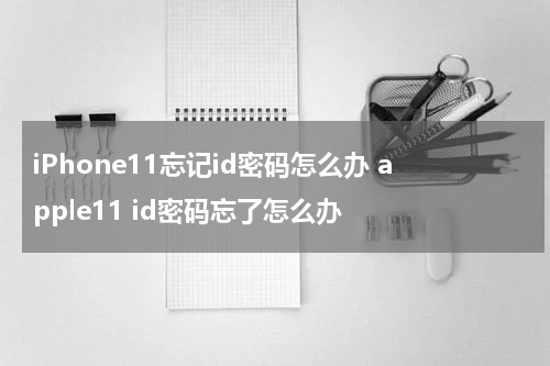 iPhone11忘记id密码怎么办 apple11 id密码忘了怎么办