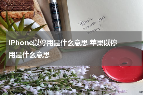 iPhone以停用是什么意思 苹果以停用是什么意思