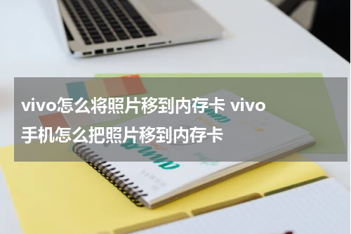 vivo怎么将照片移到内存卡 vivo手机怎么把照片移到内存卡