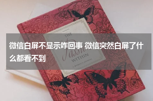 微信白屏不显示咋回事 微信突然白屏了什么都看不到